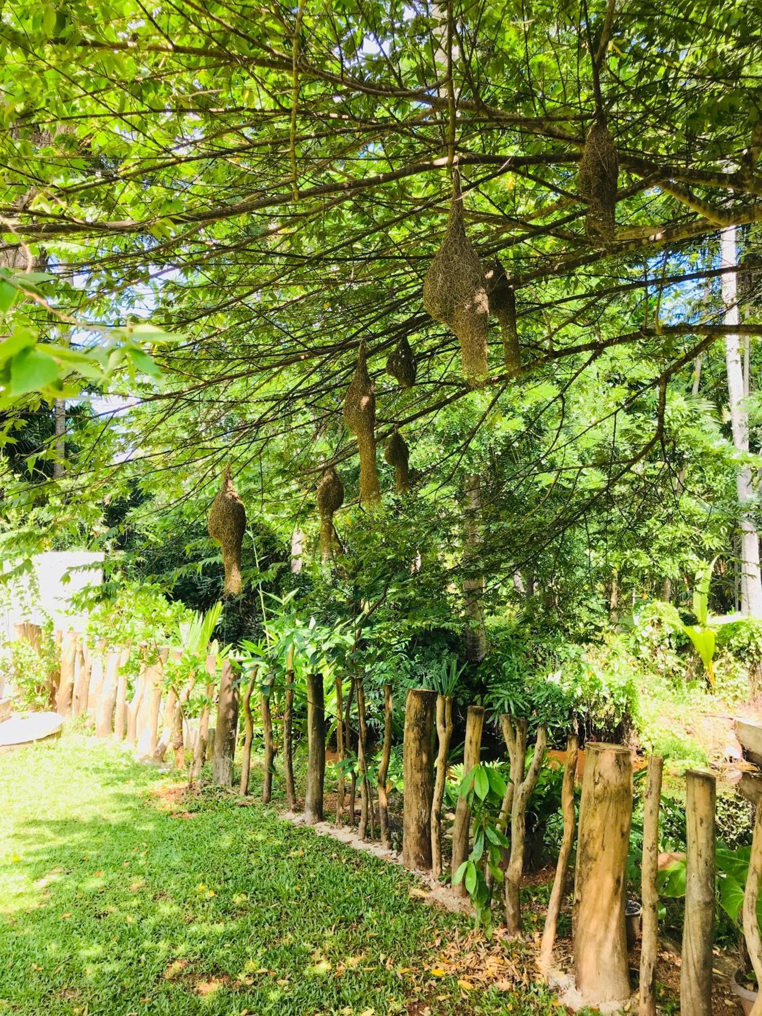 Ruwinsons Canal Garden 아누라다푸라 외부 사진